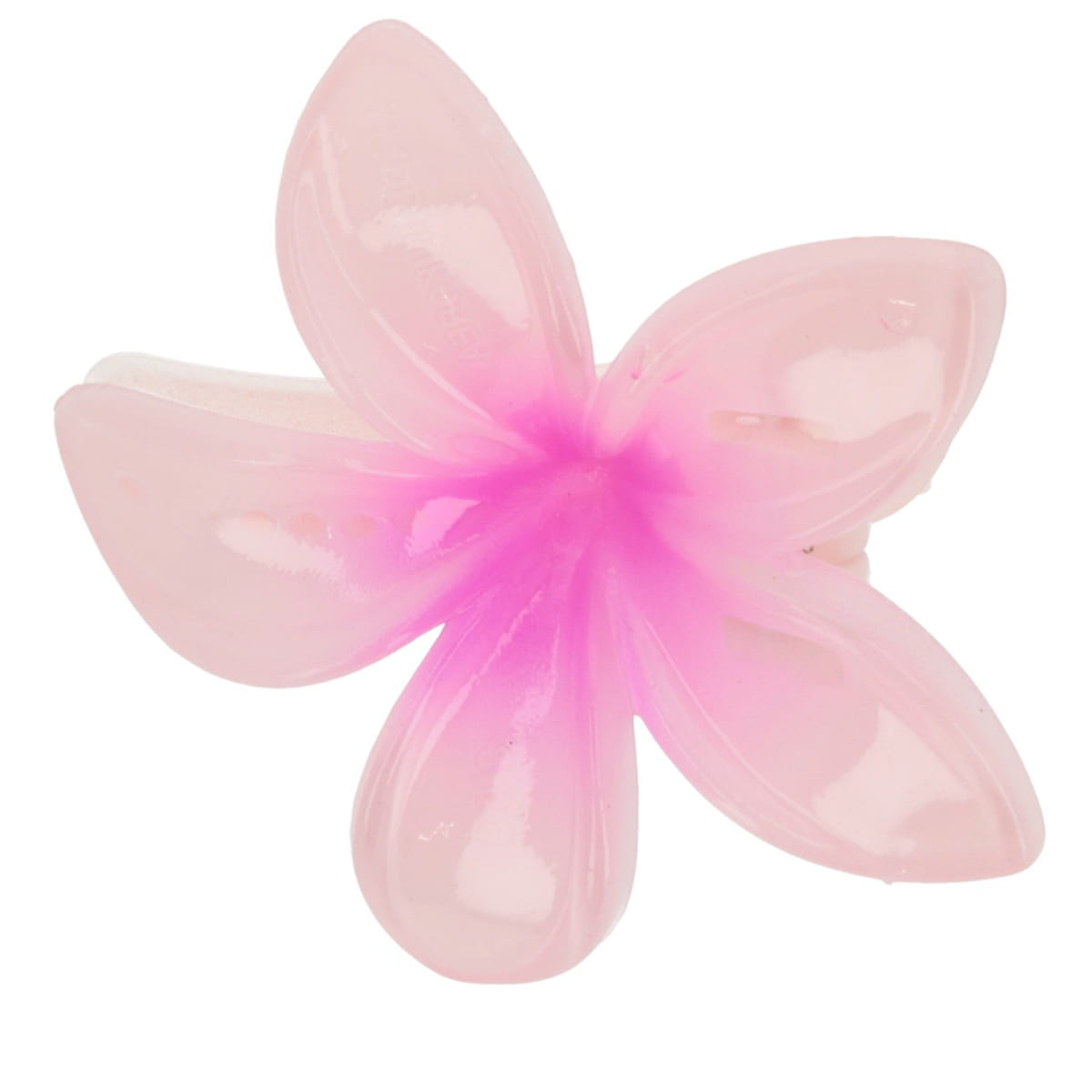 Frangipani Set Haarklammern & Clip