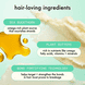 The Kure Multi-Task Repair Treatment