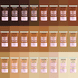 Blur Tint Foundation