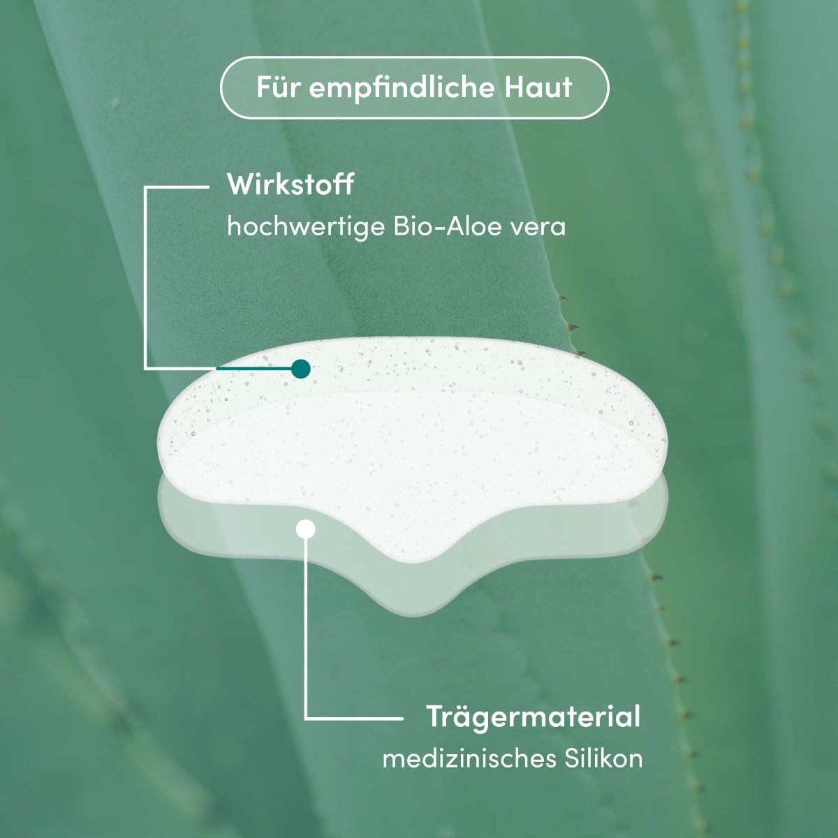 Wiederverwendbares Stirn Pad mit Aloe Vera