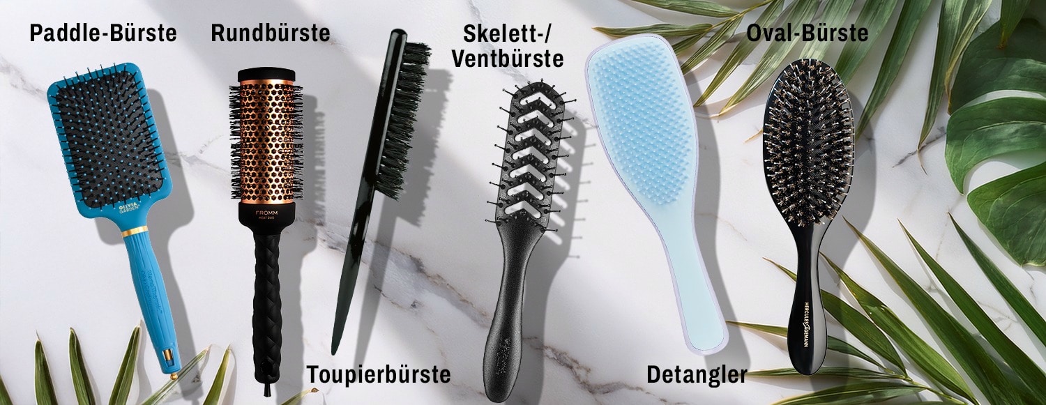 sechs verschiedene bürstentypen auf steintisch
