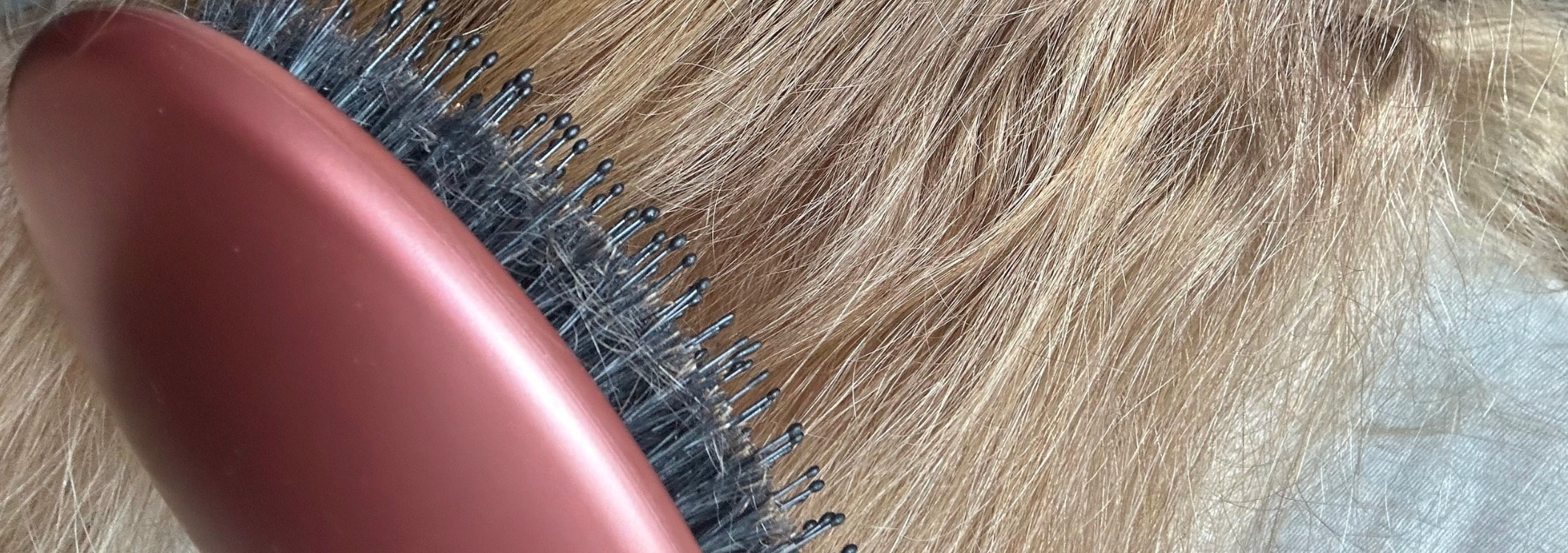 blondes haar wird mit roter haarbürste gebürstet