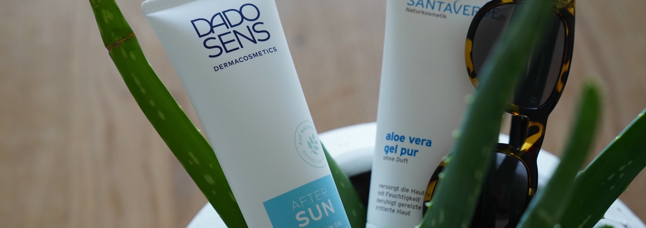 les produits apressoleil et les lunettes de soleil marron sont entre la plante daloe vera