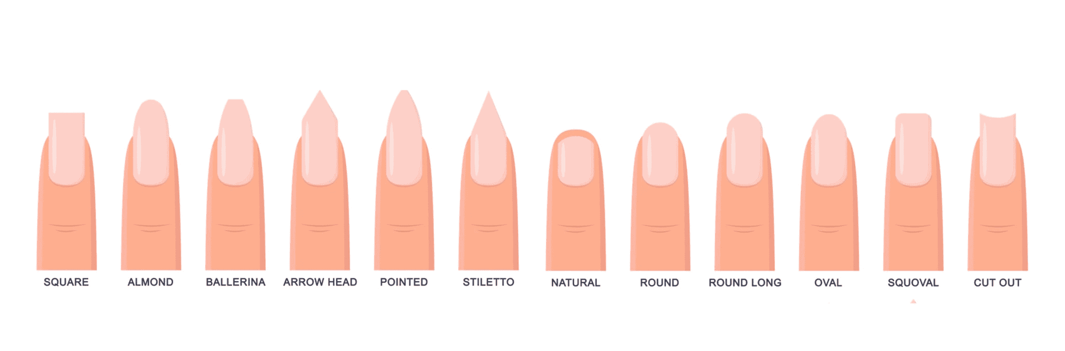 Various nail shapes can be seen in the picture.